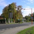 PA210005