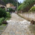 d_zleb